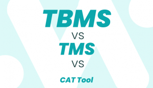 TBMS vs TMS vs CAT Tool